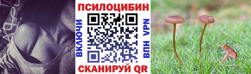 Псилоцибиновые грибы Psilocybine cubensis Тимашёвск