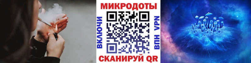 Галлюциногенные грибы Psilocybe  Тимашёвск 